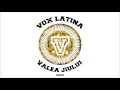 Grasu XXL - Minciuni Adevărate (Vox Latina Remix / cu Phelipe) Obrázok autora