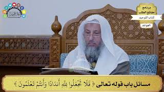 271 - مسائل باب قوله تعالى ( فلا تجعلوا لله أندادا وأنتم تعلمون ) - عثمان الخميس