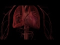 What is Disease? full 6 minute 3D HD video