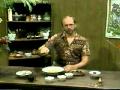 Herb Magic featuring Scott Cunningham part 2 Magic Video