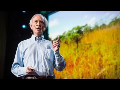 Mind Blowing - Allan Savory: How to green the world's deserts and reverse climate change