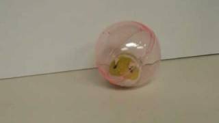 happy hamster toy