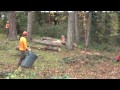 Tree Fallers - Oregon 2013 HD