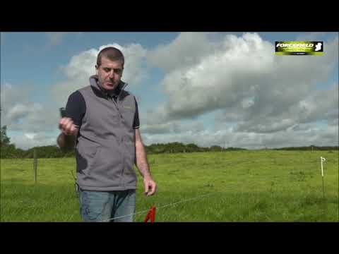 Forcefield Keyring Fence Tester