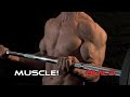 Hamstring Exercise WITHOUT Weights - BULLETPROOF YOUR HAMSTRINGS!
