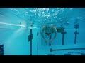 Butterfly Swimming Technique