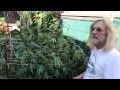 Jorge Cervantes: Garden Update! Low Light Levels!