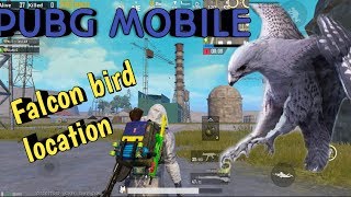 Download Thumbnail For Falcon Bird Location Pubg Mobile 0 12 5 Update - medium q! uality