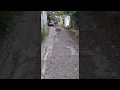 Пешеходная часть по ул.Приветная Пгт Гурзуф.