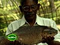 Inland Fish farming in ponds