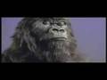 Cadbury Gorilla - In The Air Tonight Extended Mix