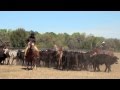 Martin Black Cow Clinic Part 1
