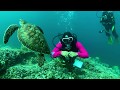 Video of MUCK DIVING