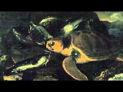 動物狂歡節-《烏龜》Saint-Saens: Carnival of the Animals~Tortues (Tortoises) - YouTube
