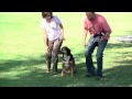 Pet Photography