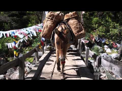 Chomolhari Base Camp and Tigers Nest Trek