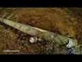 Insane Destry Abbott X Games Endurocross Crash -Dirtbike Magazine