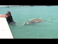 Giant Fish Tries To Eat Man! Chew On This