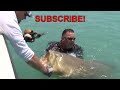 Giant Fish Tries To Eat Man! Chew On This