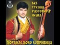 NARODNI GUSLAR DJORDJIJE DJOKO KOPRIVICA-BOKELJEV SAN.wmv