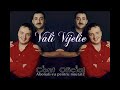 COSTI IONITA & VALI VIJELIE & ADRIAN MINUNE - PLECAT DEPARTE (OFFICIAL TRACK)
