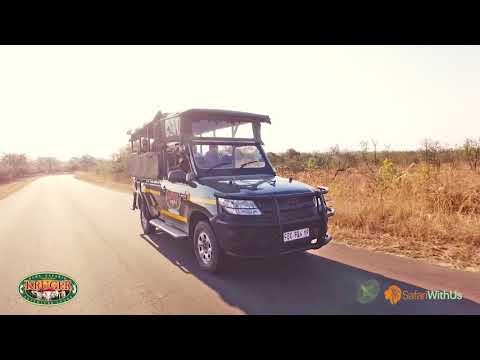 4-Day Classic Kruger and Panorama Route Tour