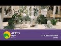 Aeres MBO Velp - Styling & Design (2018) Obrázok autora