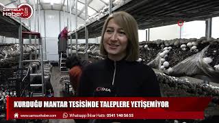 Kurduğu mantar tesisinde taleplere yetişemiyor