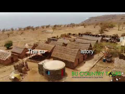 Main Page Video