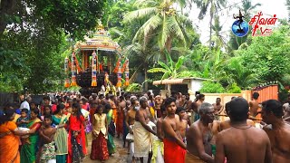 நவாலி அட்டகிரி கந்தசுவாமி கோவில் தேர்த்திருவிழா