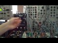 MuRF w/MIDI to CV Clock for sale