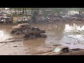 World's Baddest Chevy with a Cummins! Rollin Coal! Trucks Gone Wild Colfax LA Mudfest Dodge Duramax