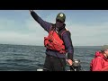 Fishing for Coho Salmon in Puget Sound