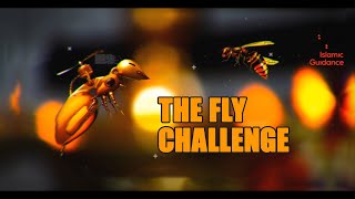 Qur'anic Miracle - The Fly Challenge
