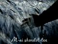 ♫ Soundtrack - Gladiator - Now We Are Free (with lyric).flv
