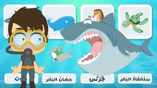 لعبة صل الكلمة بالصورة (الحلقة ٦)  - حيوانات البحر، تعلم الكلمات باللغة العربية – تعلم مع زكريا