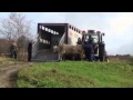 Gaucho-Tanz von Stier Bandit als Dank!