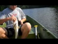 Great Day of Bass Fishing on the Boat