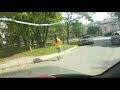 Ежедневный маршрут родителей и детей в школу,детский сад.
