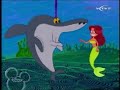 Zig and sharko muscle collage