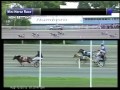 August 12, 2012, Mini Horse Race, Flamboro Downs
