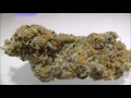 The Weed Nerd Episode 139