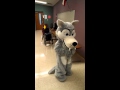 What does the wolf say?