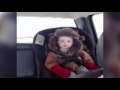 Dad Gives Tired Son Permission to Sleep