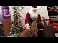 Brock the Boxer Dog: When Boxers go BAD!!