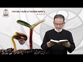 Thứ Sáu Tuần III Thường Niên A - 31/01/2020