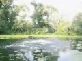 Super faze, sa nu mori de ras nuuuuu video clipuri haioase, filme amuzante, filmulete haioase, videoclipuri, filme tari