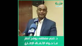 د. ناجي مصطفى يوضح أخطر ما حواه الاتفاق الإطاري
