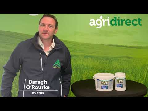 Superstart Calf and Lamb Colostrum