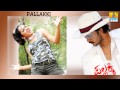 Golimaaro - Pallakki